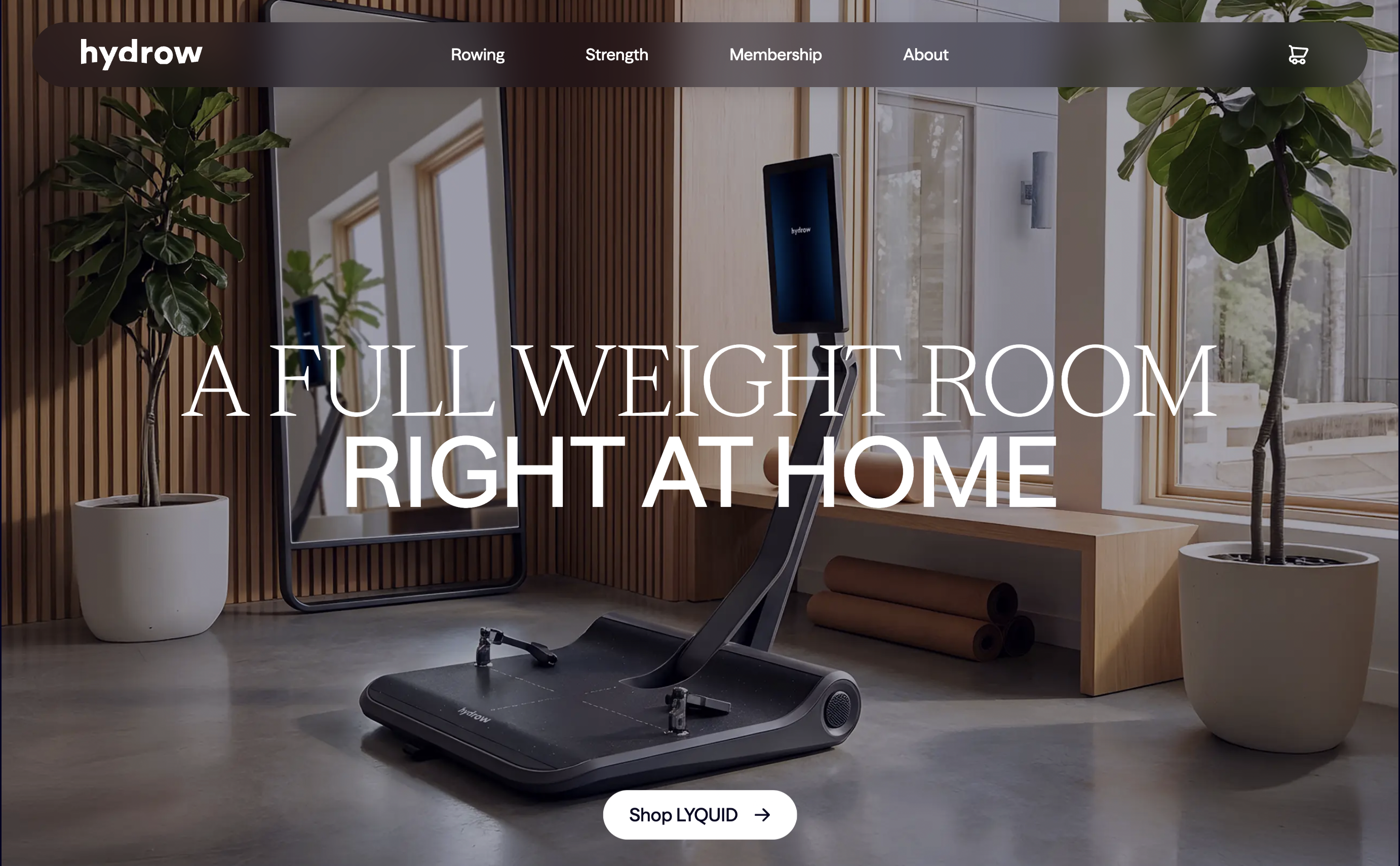 Lyquid product hero shot, a full weight room built into a home gym